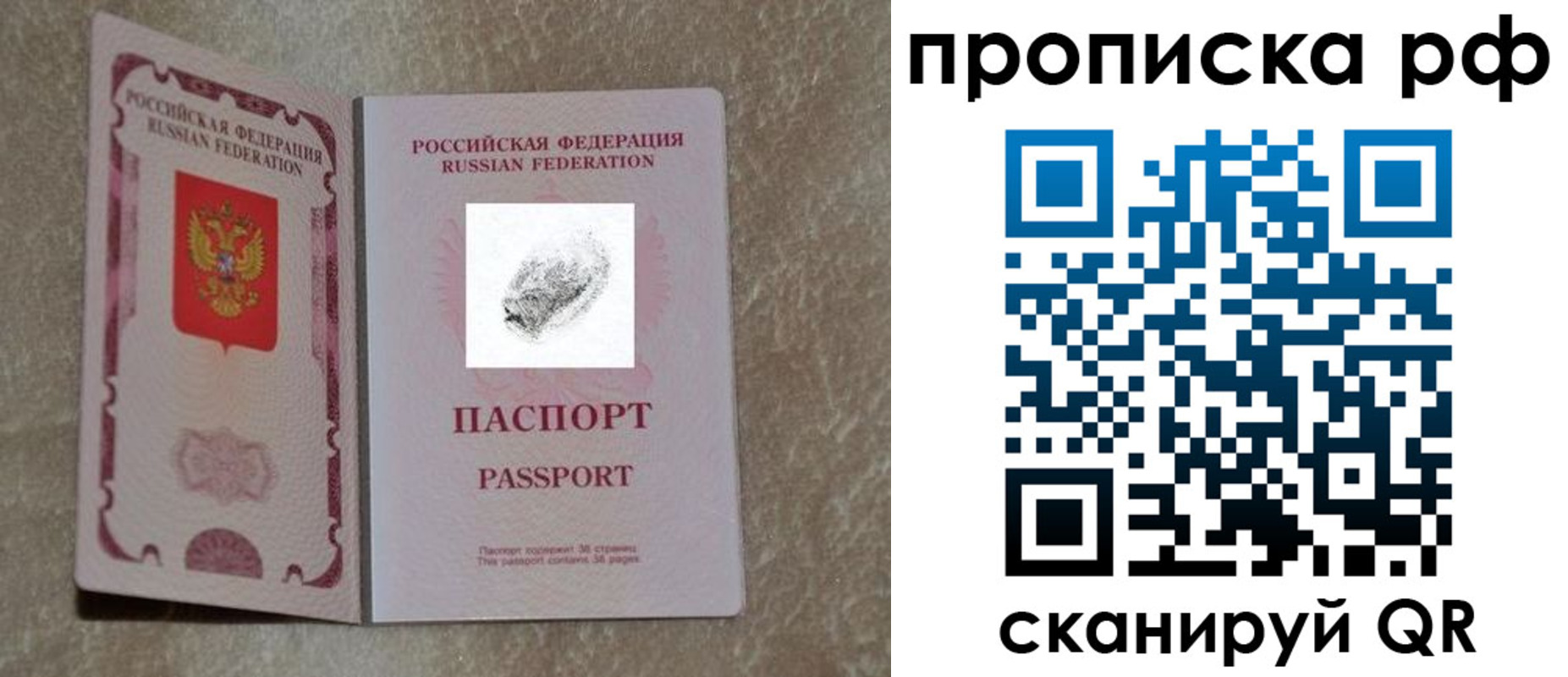 прописка поиск в Самарской области